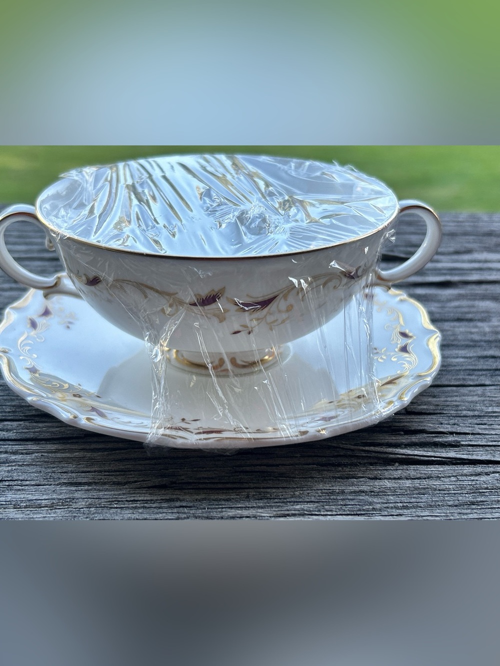 Vintage Royal Doulton Strasbourg double-handled cream soup bowl and saucer